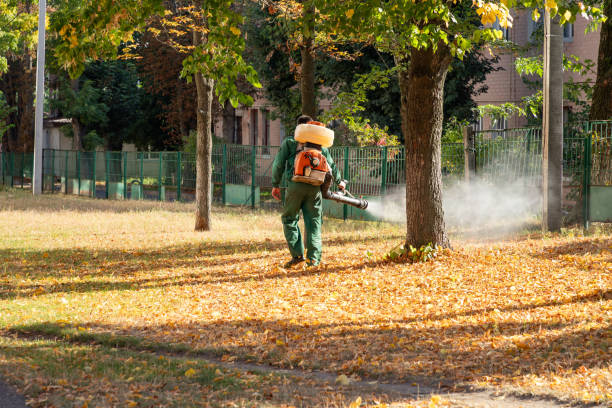 Best Pest Control Near Me  in Lincoln Village, CA